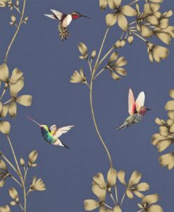 Amazilia hummingbird wallpaper - Indigo