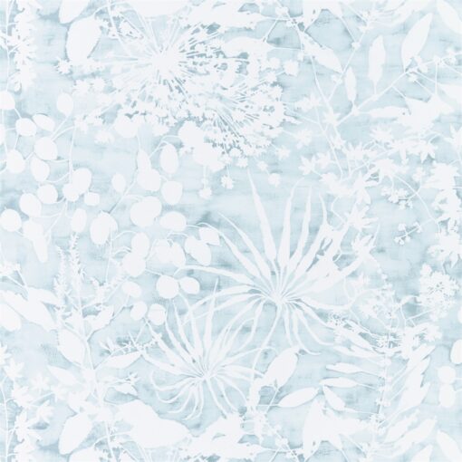 Coralline Wallpaper from the Anthozoa Collection in Ocean