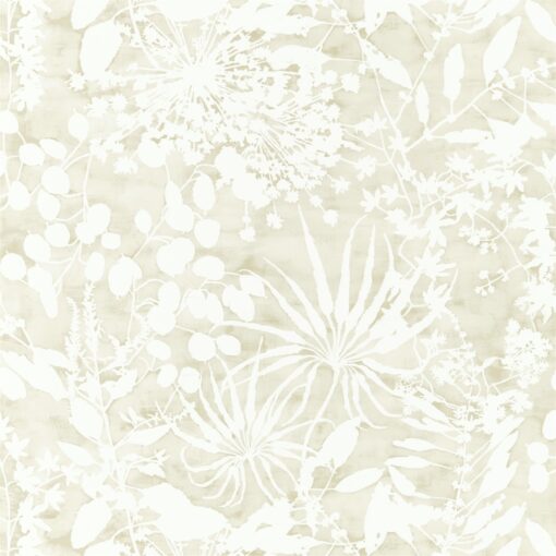 Coralline Wallpaper from the Anthozoa Collection in Pebble