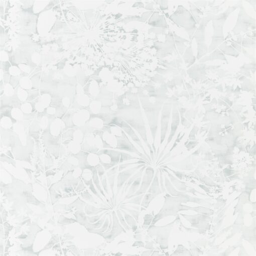 Coralline Wallpaper from the Anthozoa Collection in Mineral