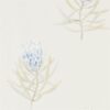 Protea Flower Wallpaper from The Art of the Garden Collection in China Blue & Canvas