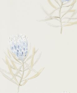 Protea Flower Wallpaper from The Art of the Garden Collection in China Blue & Canvas