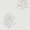 Protea Flower Wallpaper from The Art of the Garden Collection in Daffodil & Natural