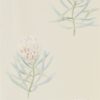 Protea Flower Wallpaper from The Art of the Garden Collection in Russet & Green