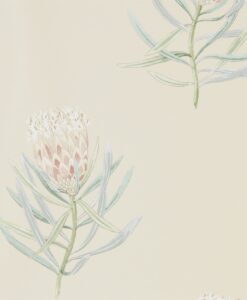 Protea Flower Wallpaper from The Art of the Garden Collection in Russet & Green