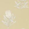 Protea Flower Wallpaper from The Art of the Garden Collection in Sepia & Champagne