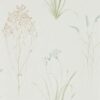Farne Grasses Wallpaper by Sanderson Home in Cream & Sage