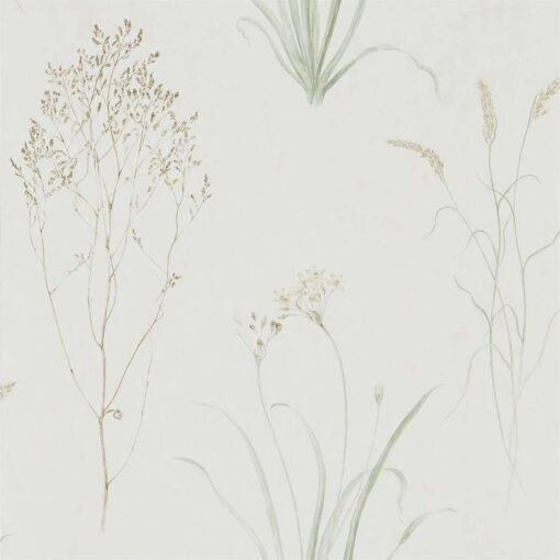 Farne Grasses Wallpaper by Sanderson Home in Willow & Pebble