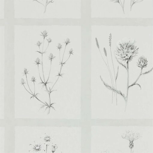 Little Thistles wallpaper by Sanderson Home in Pewter