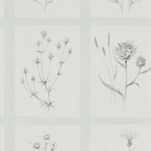 Little Thistles wallpaper by Sanderson Home in Grey Blue