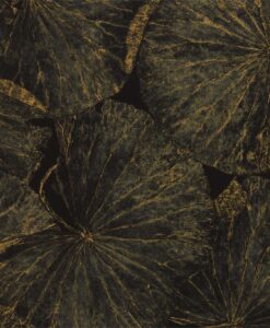 Taisho Lotus Wallpaper from The Must Collection by Zophany in Vine Black