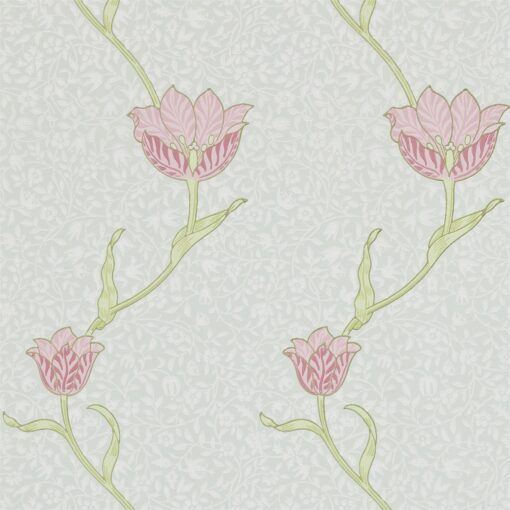 Tulip Wallpaper by Morris & Co in Porcelain and Pink
