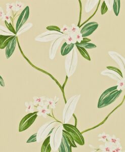 Oleander Wallpaper