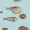 Acquario Wallpaper by Cole & Son from the Fornasetti Collection