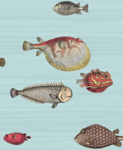 Acquario Wallpaper by Cole & Son from the Fornasetti Collection