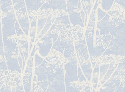 Cow Parsley Wallpaper by Cole & Son