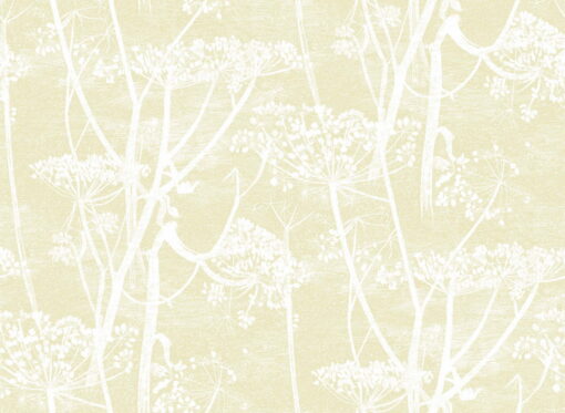 Cole and Son Cow Parsley Wallpape
