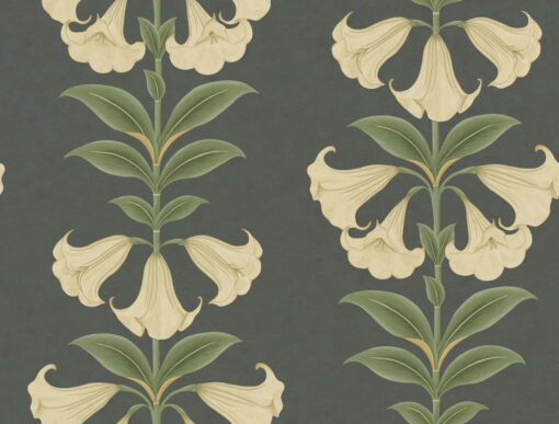 Angel's Trumpet Wallpaper by Cole & Son
