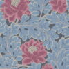Cole and Son Aurora Wallpaper in Cerise & Cerulean Blue on Midnight