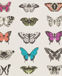 Papilio Butterfly Wallpaper by Harlequin in Famingo, Papaya and olive