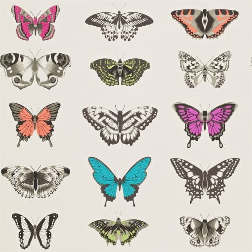 Papilio Butterfly Wallpaper by Harlequin in Famingo, Papaya and olive