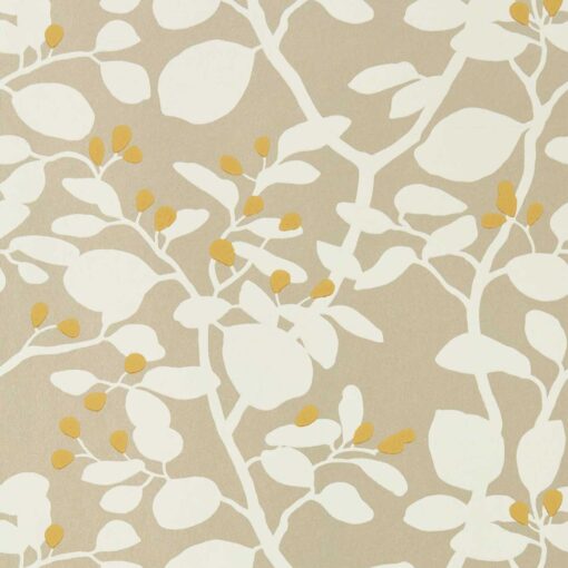 Ardisia Wallpaper in Soft Focus/Oyster/Gold
