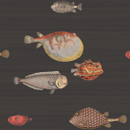 ole and Son - Fornasetti Senza Tempo Collection - Aquario Wallpaper in Soot