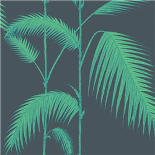 Palm Leaves Wallpaper by Cole & Son in Turquoise