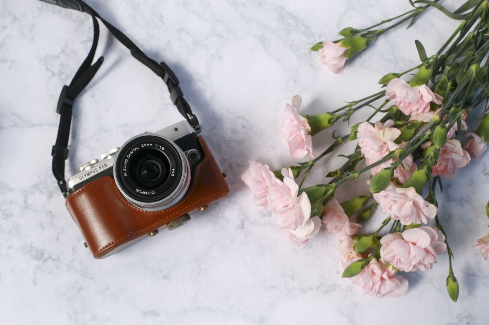 Olympus Camera with Carnations