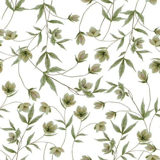 HELLEBORES Wallpaper by LILIPINSO in GREEN