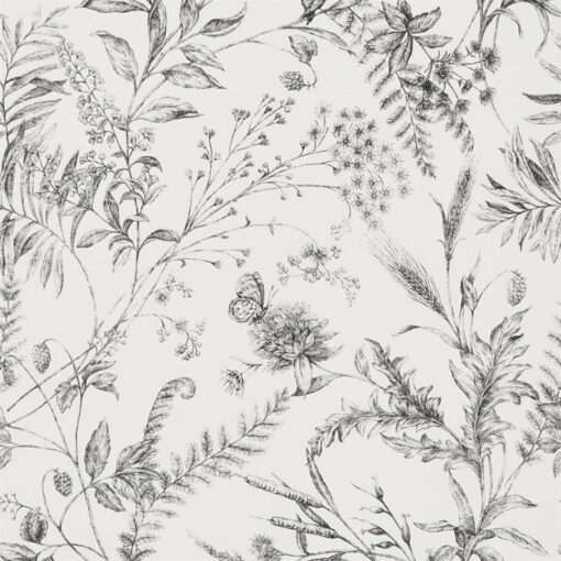 Fern Toile Wallpaper in Etched Black