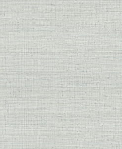 Ayllon Wallpaper by Lorenzo Castillo - Silver Grasscloth Wallpaper