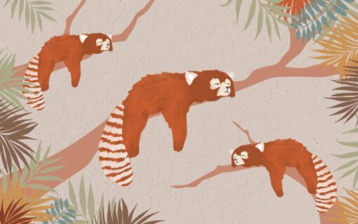 Raccoon Family Autumn Forest Wallpaper Mural