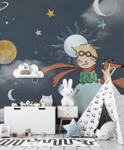 The Little Prince In Space Wallpaper Mural