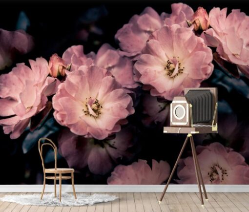 Dark Daisy Floral Pattern 3D Wallpaper Mural