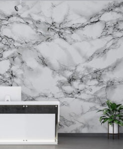Black and White Marble Pattern Wallpaper Mural