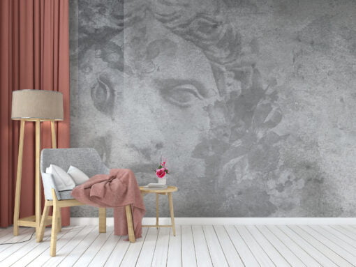 Sculpture Face in Grey Tones Wallpaper Mural