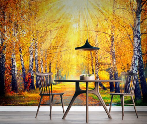Autumn in the Forest Wallpaper Mural
