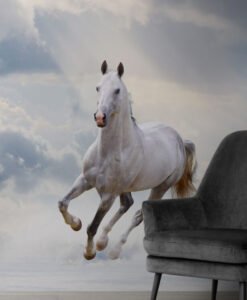 Running White Horse Wallpaper Mural