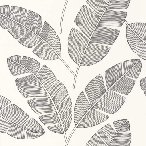 Banana Tree Wallpaper in Black