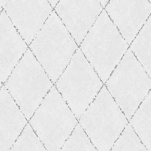 Decorama Easy Up 19 Modern Trellis Wallpaper by Borastapeter in Grey