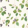 Rubus Wallpaper by Sanderson in Blackberry