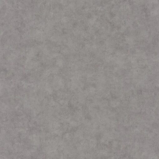 Beton Uni Wallpaper in Raw Concrete Gray