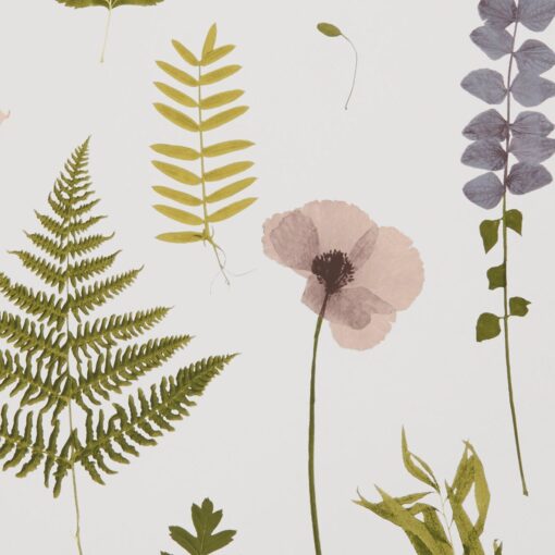 Herbarium Wallpaper by Clarke & Clarke