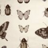 Papilio Wallpaper by Clarke & Clarke