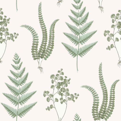 Herba Wallpapers In White