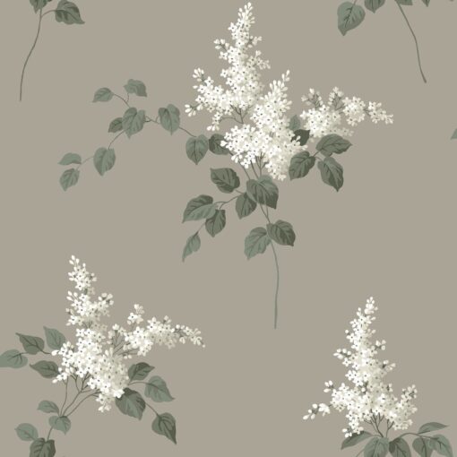 Lilacs Wallpapers In Brown