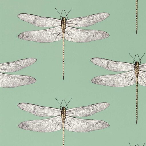 Demoiselle Wallpaper In Seaglass First Light Sand