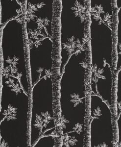 Automne Wallpaper in Black