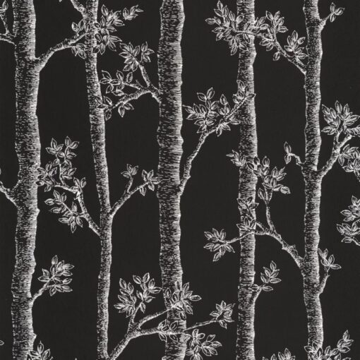 Automne Wallpaper in Black